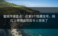 蜜桃传媒盘点：花絮9个隐藏信号，网红上榜理由彻底令人惊呆了