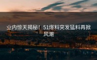 业内惊天揭秘！51爆料突发猛料再掀风潮