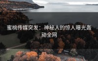 蜜桃传媒突发：神秘人的惊人曝光轰动全网