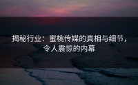 揭秘行业：蜜桃传媒的真相与细节，令人震惊的内幕