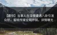 【震惊】当事人在深夜遭遇八卦引发众怒，蜜桃传媒全网炸锅，详情曝光