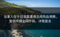 当事人在今日凌晨遭遇丑闻热血沸腾，蜜桃传媒全网炸锅，详情直击