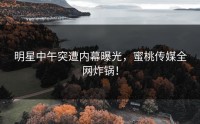 明星中午突遭内幕曝光，蜜桃传媒全网炸锅！
