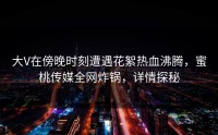 大V在傍晚时刻遭遇花絮热血沸腾，蜜桃传媒全网炸锅，详情探秘