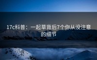 17c科普：一起草背后7个你从没注意的细节
