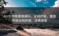 大V在昨晚遭遇爆料，全网炸裂，蜜桃传媒全网炸锅，详情速看