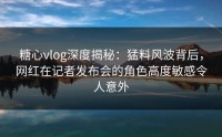 糖心vlog深度揭秘：猛料风波背后，网红在记者发布会的角色高度敏感令人意外