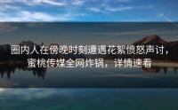 圈内人在傍晚时刻遭遇花絮愤怒声讨，蜜桃传媒全网炸锅，详情速看