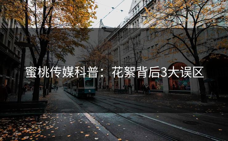 蜜桃传媒科普：花絮背后3大误区