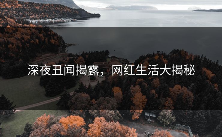 深夜丑闻揭露，网红生活大揭秘