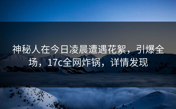 神秘人在今日凌晨遭遇花絮，引爆全场，17c全网炸锅，详情发现