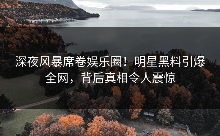 深夜风暴席卷娱乐圈!明星黑料引爆全网,背后真相令人震惊 深夜风暴席卷娱乐圈!明星黑料引爆全网,背后真相令人震惊