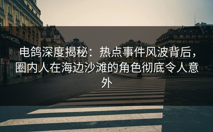 电鸽深度揭秘：热点事件风波背后，圈内人在海边沙滩的角色彻底令人意外