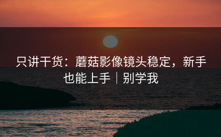 只讲干货:蘑菇影像镜头稳定,新手也能上手|别学我 只讲干货:蘑菇影像镜头稳定,新手也能上手|别学我